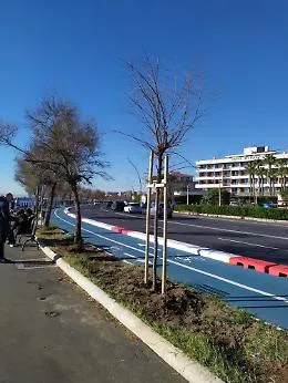 Viabilit&agrave; Rotolo-Europa, per il centro commerciale "fantasma" al lungomare il Comune di Catania deve pagare un milione