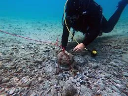 Il mare di Vendicari "regala" un elmo medioevale