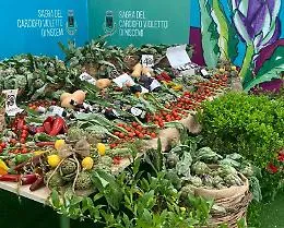 Carciofo di Niscemi: tesoro violetto tra sapori e sfide