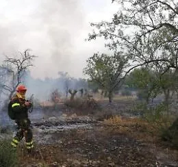 L'Udc: &laquo;94 assunzioni di forestali bloccate dalla burocrazia&raquo;