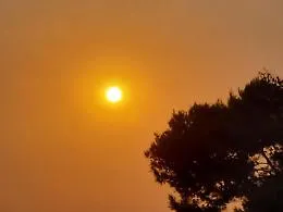 L&rsquo;Italia divisa in due dal meteo: il Sud verso i 46&deg;C, il Nord sotto la minaccia di temporali violenti. 