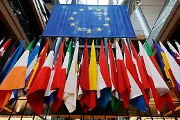 Dai Fratelli "coltelli" a Forza Italia una e trina e il rebus progressista: il chi vota chi alle Europee