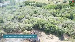 Cos&igrave; il drone della Forestale ha localizzato un incendio a due passi dall'autostrada a Fiumefreddo