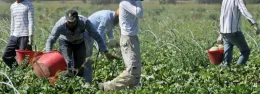 Sicilia crocevia di speranza e sfruttamento: tra caporalato e rimesse, l&rsquo;Africa al centro del dibattito