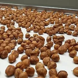 La nocciola di Sicilia verso l'iter per la registrazione Igp
