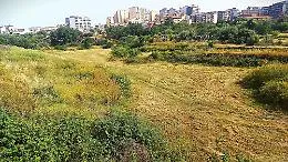 Centro direzionale Cibali, &laquo;non pu&ograve; essere solo un parco: l&igrave; servono case e strade&raquo;