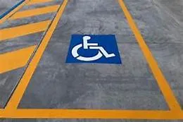 Convegni, riunioni e consigli comunali: tutto al primo piano senza ascensore, scatta la protesta della Garante dei disabili