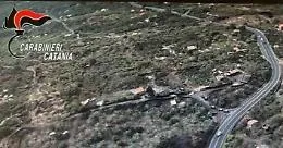 Proteggere "l'oro verde" di Bronte: operazione contro furti e contraffazione VIDEO 