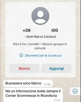 Inganno online: cittadini truffati da un falso sindaco