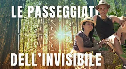Diari dello stare: passeggiate dell'invisibile tra arte, silenzio e Madonie