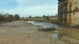 Arriva l'ok di Schifani: c'&egrave; una terza irrigazione di soccorso per gli agrumeti e i pescheti di Ribera