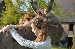 Camminare con gli asini: riscoprire i Monti Nebrodi a passo lento