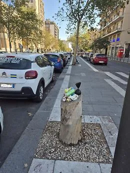 Catania, i tronchi diventano cestini: degrado (creativo) in Corso Italia