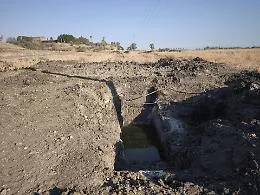 Nella piana di Catania produzione di carciofi decimata. &laquo;L'acqua c'&egrave;, ma condotte colabrodo. Serve un piano Marshall&raquo;