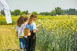 Torna la Banca delle Terre: a disposizione 14mila ettari di terreni, il 40% in Sicilia