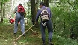 Svolta per i forestali: Dc apre all'aumento delle giornate di garanzia, Uila Sicilia parla di segnale positivo