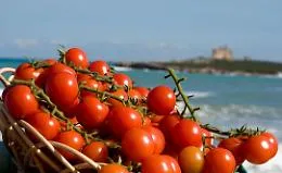 Salmonella e pomodorini? Il Consorzio di Pachino: &laquo;Solo attacchi a un ortaggio che tutto il mondo ci invidia&raquo;