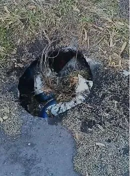 Viale Nitta dimenticato: buche, erba alta e blocchi New Jersey mai rimossi
