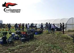 Stranieri "abusivi" nelle campagne di Salemi: quattro denunciati