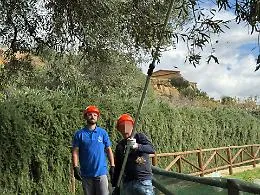 Dalla cella al frantoio: "Viaggiare su un filo d'olio" torna a coltivare dignit&agrave; nella Valle dei Templi
