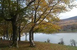 &laquo;Basta con l'assalto di auto al lago Maulazzo e al Biviere, nei festivi controlli interforze&raquo;. Parla il presidente del Parco dei Nebrodi