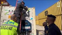 Cocaina fra il pesce surgelato: sequestro al porto di Gioia Tauro: carico forse destinato anche ai clan siciliani