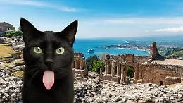 La leggenda di Micio, il gatto nero di Taormina protettore della citt&agrave; 