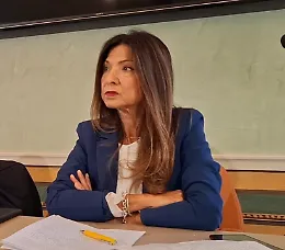 Incendi, Schillaci (M5s) chiede una commissione d'inchiesta all'Ars: "Piani anti roghi inadeguati"