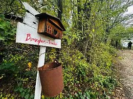 Via i figli alla famiglia nel bosco: per i giudici "quadro inquietante", per i genitori stile di vita da difendere. Chi ha torto e chi ha ragione?