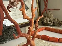 L&rsquo;affascinante storia del corallo di Sciacca in mostra nella Citt&agrave; dei templi 