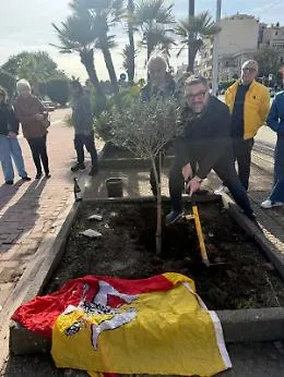 Pi&ugrave; verde per Messina: successo alla Passeggiata a Mare di "Alberi per il Futuro"