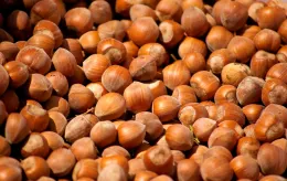 Rendimenti della nocciola crollati oltre l'80%: Montalbano Elicona chiede lo stato di crisi per il 2025