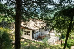 Vigilia di attesa per la famiglia della casa nel bosco: udienza per decidere sul ritorno dei bimbi dai loro genitori