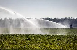 "Necessario programmare in tempo la campagna irrigua 2026"