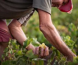 Da Pantelleria alle Colline del Prosecco pi&ugrave; turisti e pi&ugrave; occupazione nei siti Unesco 