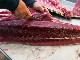 Pausa pranzo shock a Genova: 18 intossicati, ipotesi sindrome sgombroide per il tonno di un noto bar