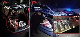 Catania, sequestrati a Nesima quasi 17 kg di esplosivi artigianali: denunciato un 32enne