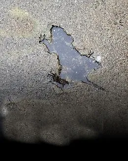La "rat hole di Chicago non &egrave; un super- ratto ma (forse) uno scoiattolo sfortunato 