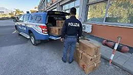 Pi&ugrave; di 200 chili di esplosivi trovati in un garage: due fratelli denunciati