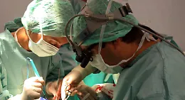 Dona rene ad una sconosciuta: a Padova il prezioso caso di "donazione samaritana"
