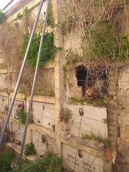 Patern&ograve;, cimitero in rovina: loculi scoperchiati, lapidi ammassate e sterpaglie