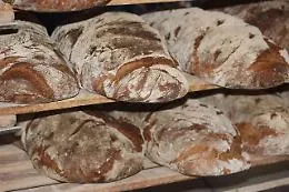 Il cibo e l'alimentazione come strumenti di inclusione e cultura: ad Acireale parte il ciclo di incontri e degustazioni "NutriMenti"