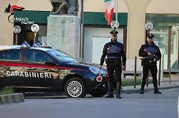 Il cane Aaron non sbaglia, arrestato per droga 34enne di Partinico