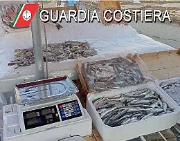 Operazione Fish: 112 tonnellate di pesce sequestrate e sanzioni