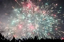 Botti di Capodanno: un cane muore di paura a Salerno. Bimbo di 9 anni ferito da un proiettile