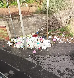 Discarica a cielo aperto in via Torricelli: emergenza igienico‑sanitaria e rischio ratti a Mascalucia (CT)