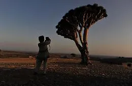 &ldquo;Sospesi tra mare e cielo&rdquo; nello Yemen in guerra: come oltre 400 turisti (86 italiani) sono rimasti bloccati a Socotra 