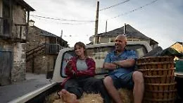 Cinema, l'effetto Zalone sul Cammino di Santiago, boom di ricerche degli italiani 