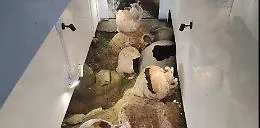 A Gela la necropoli dei bambini con le mollette da bucato