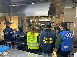 Blitz alla Pescheria di Catania: gamberi "fantasma", cucina sospesa e sanzioni per oltre 10.000 euro